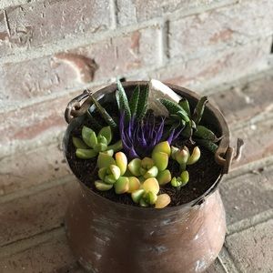 Meet your Posher, Luke